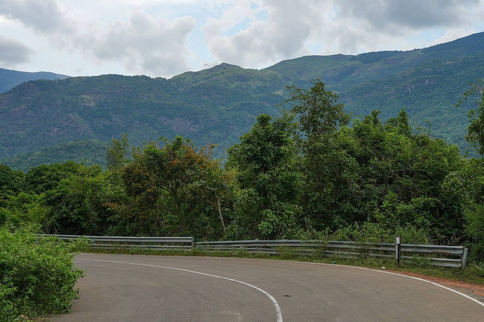 A road curving through the forested hills of the Western Ghats near Rajapalayam, Tamil Nadu